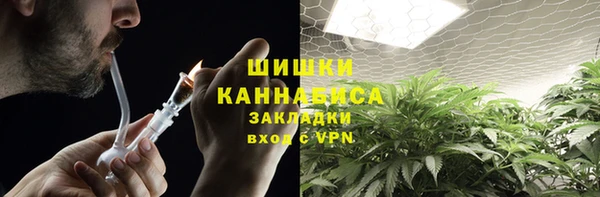соль ск Гусь-Хрустальный
