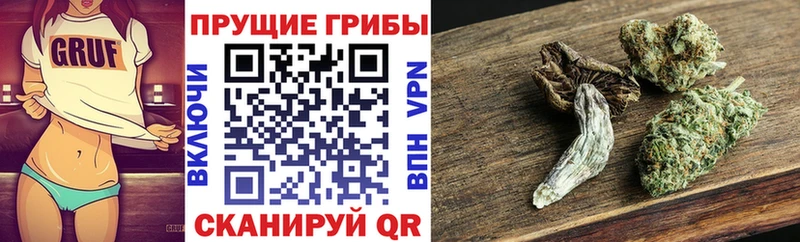 Галлюциногенные грибы Cubensis  Железногорск-Илимский 